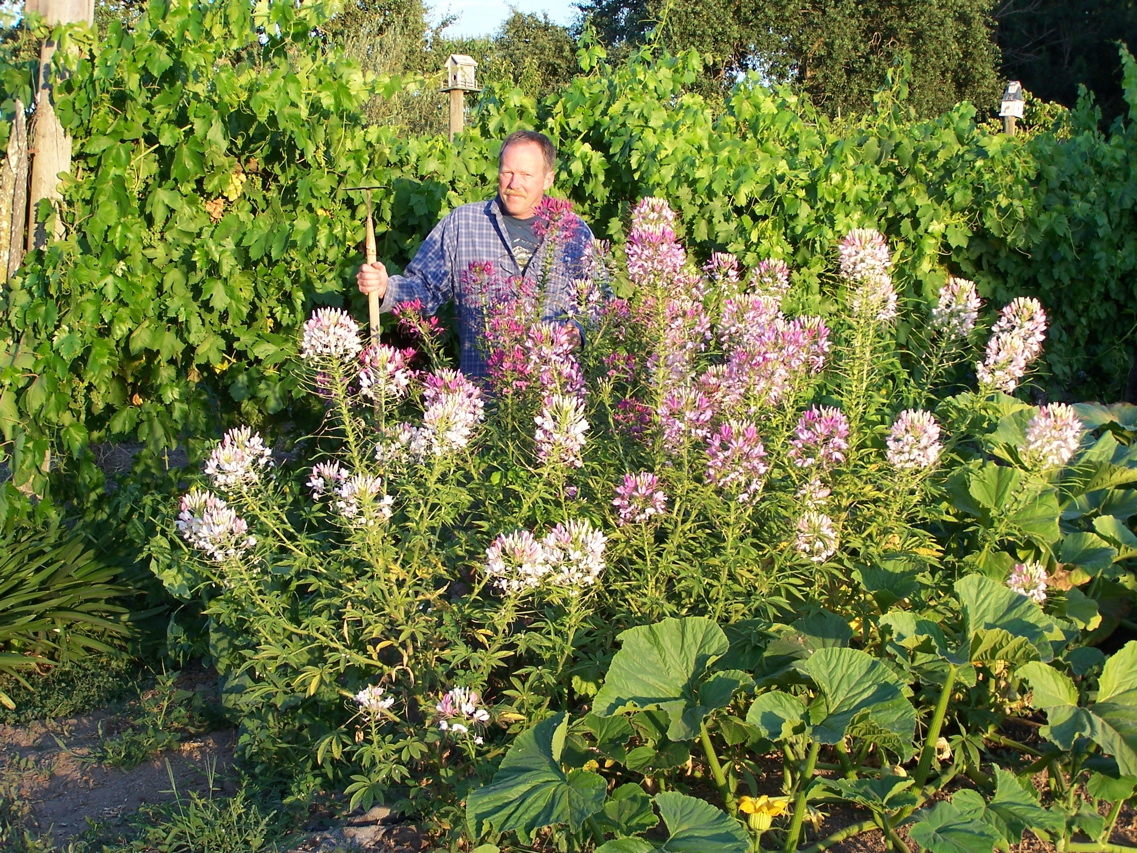 flowers-and-squash-2009