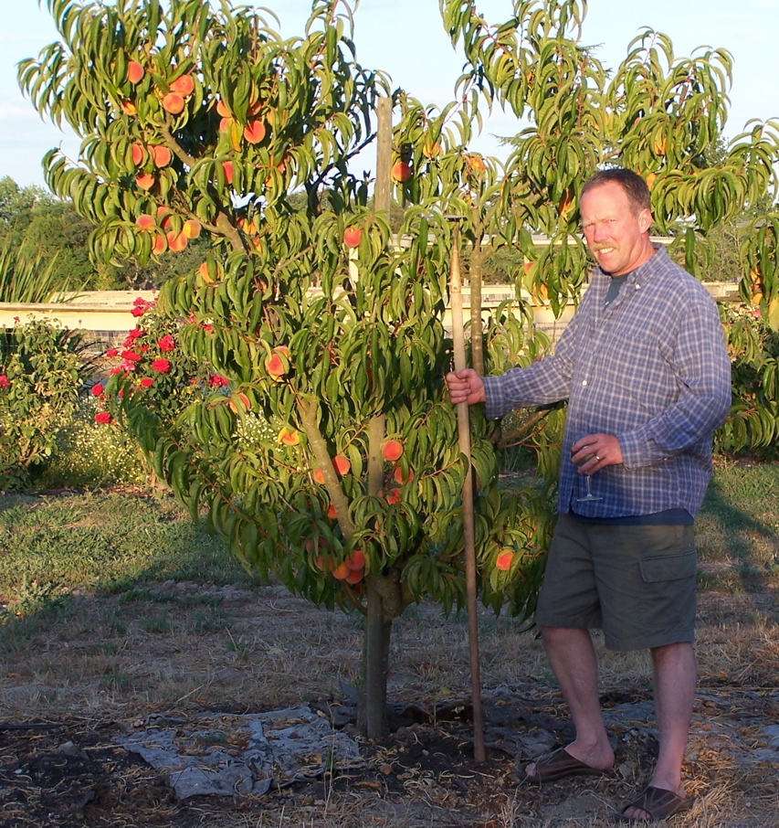 peaches-2009