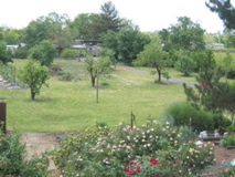 IMG_0144.JPG